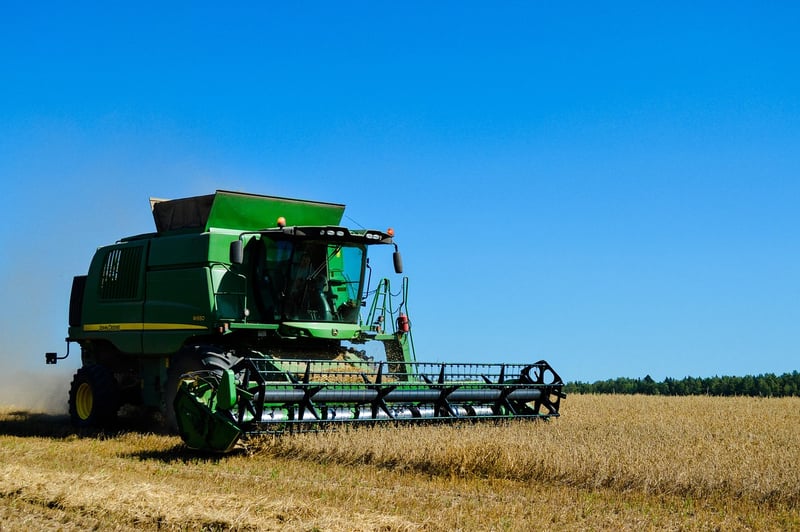 Summer Harvesting